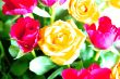 20080127_JM1763_modified_web.jpg