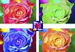 Pic2Art_Musterblatt_Seite_6_72dpi_WEB_PAGE.jpg